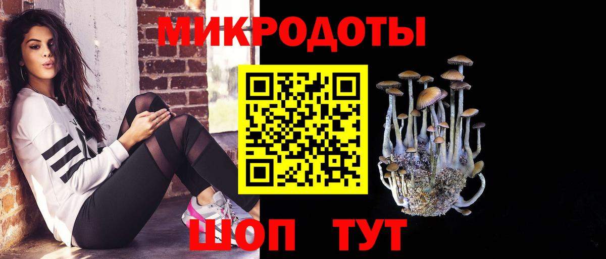 Геленджик  Галлюциногенные грибы Cubensis  Вход с VPN  Галлюциногенные грибы мухоморы 